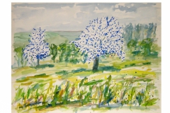 Limburg-voorjaar-aquarel