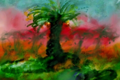 Palm201512