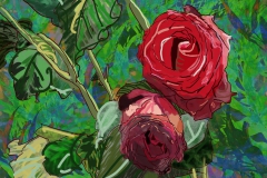 Rozen_20180211
