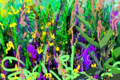 Lavendel