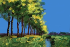 Bomen_rij_20170530